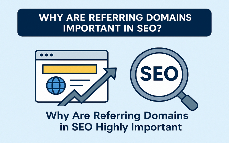 چرا دامنه های ارجاع دهنده در سئو از اهمیت بالایی برخوردارند ؟